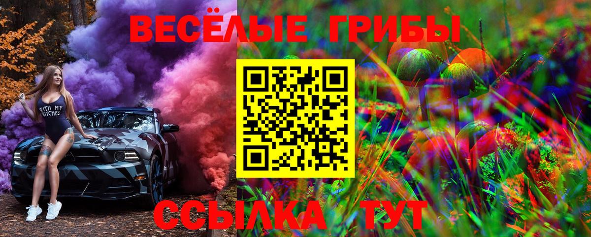 Галлюциногенные грибы GOLDEN TEACHER Ачинск